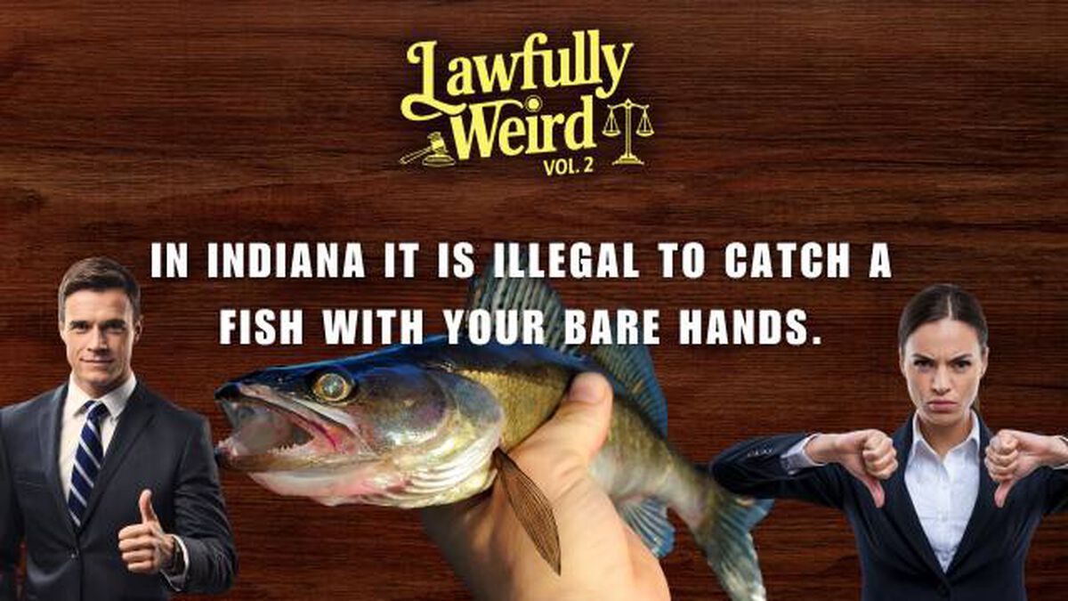 Lawfully Weird: Volume 2 image number null